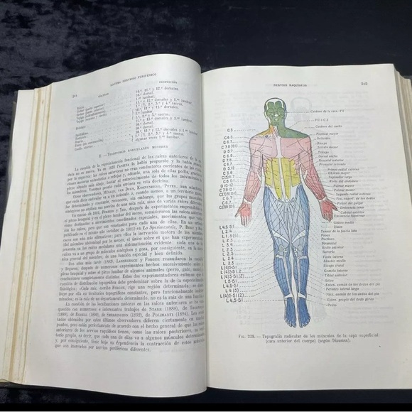 4 Volume Set Tratado De Anatomia Humana Testut Latarjet Human Anatomy 1954 - Picture 12 of 15